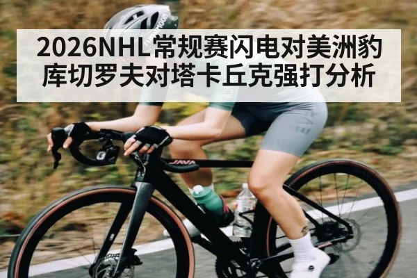 2026NHL常规赛闪电对美洲豹库切罗夫对塔卡丘克强打分析