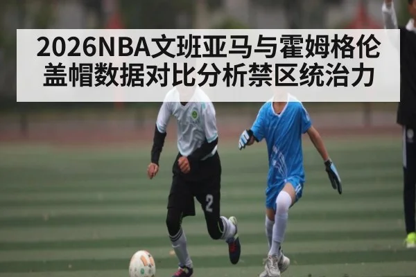 2026NBA文班亚马与霍姆格伦盖帽数据对比分析禁区统治力